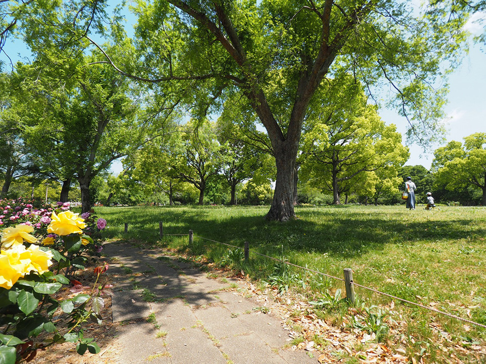 尼崎農業公園